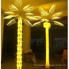 Кокосовая пальма свет
